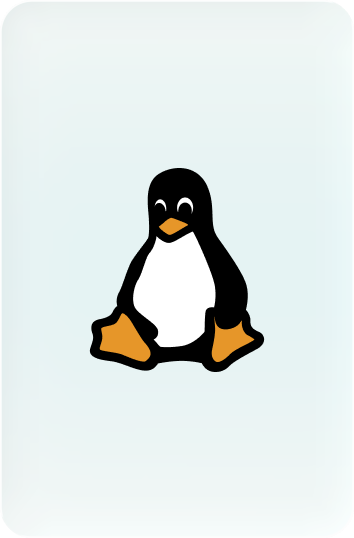 Linux (will be added later)